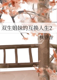 双生姐妹的互换人生2