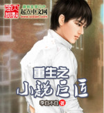重生之小说巨匠小说